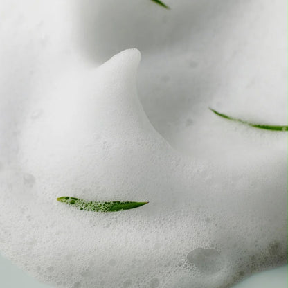 AHA-BHA-PHA 30 DAYS MIRACLE ACNE CLEAR FOAM 100 ML