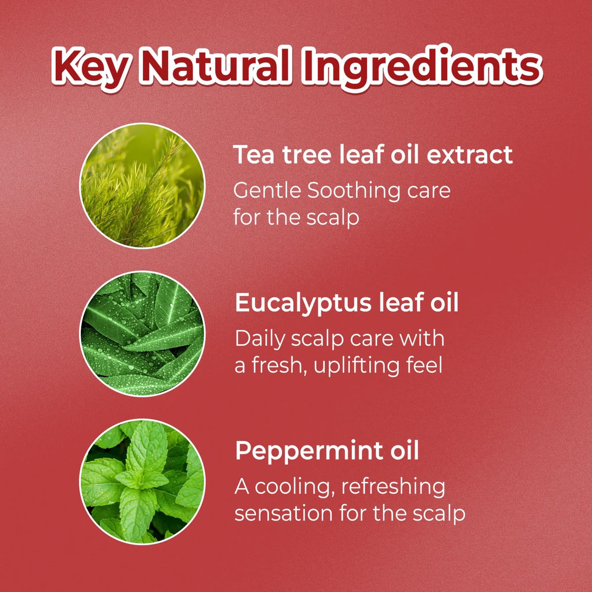 CAFFEINE WATER TREATMENT 300ML - HERB MINT
