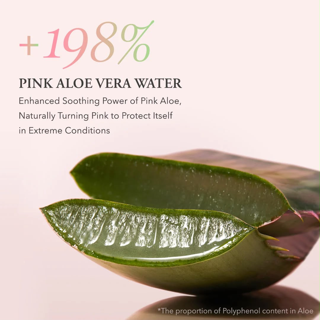 PINK ALOE PACK CLEANSER